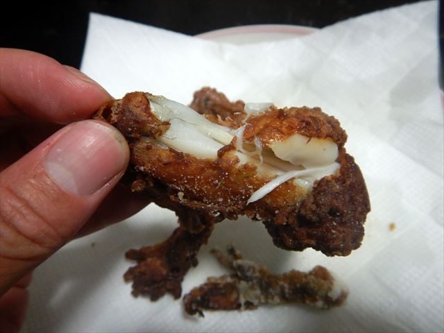 ウシガエルのとり方 思ったより苦労させられてしまった話 東京でとって食べる生活