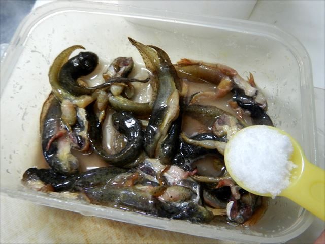 オタマジャクシの四足はチキチキボーンの旨さだった 東京でとって食べる生活