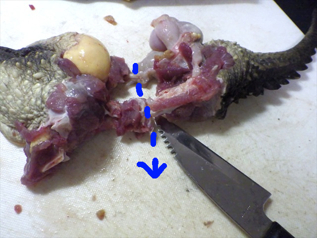 カミツキガメの肉