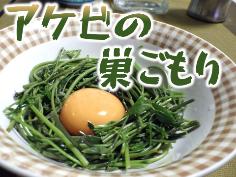 アケビの新芽で巣ごもりを作って食べてみた 東京でとって食べる生活