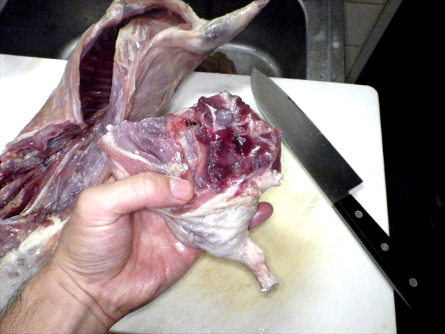 ヌートリアの肉、前足