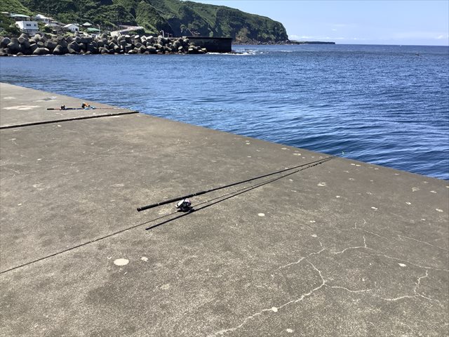 オヤビッチャは美しいだけでなく味もイイ 東京でとって食べる生活