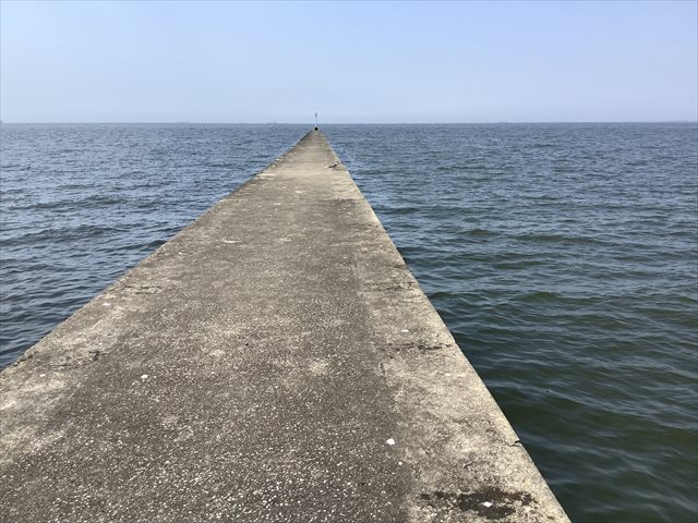 ツメタガイは貝好きに食べてほしいダントツの旨味爆弾 東京でとって食べる生活