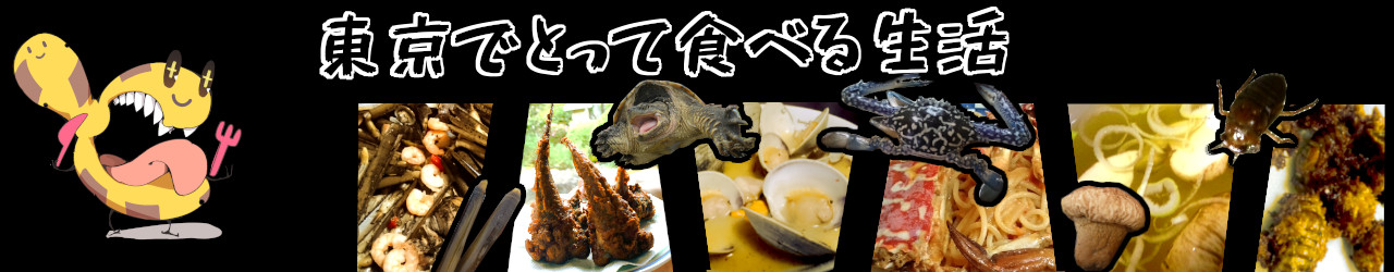 タンカイことドブガイの棒つつきを教えてもらった 東京でとって食べる生活