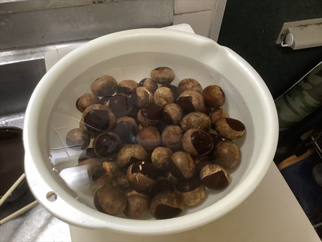 トチの実の凶悪なアクを二ヶ月かけて抜いてみた 手強かった 東京でとって食べる生活