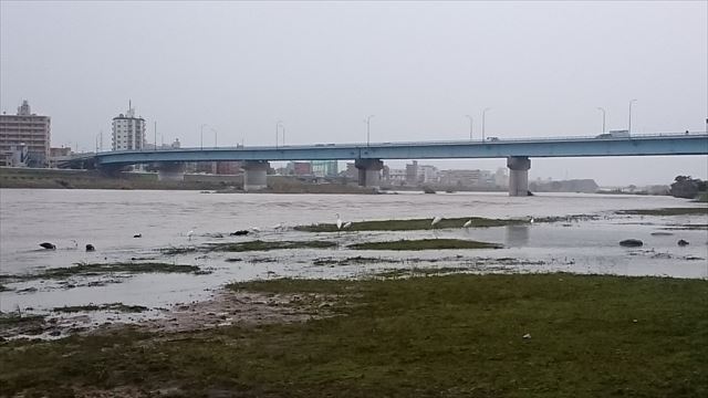 洪水の多摩川