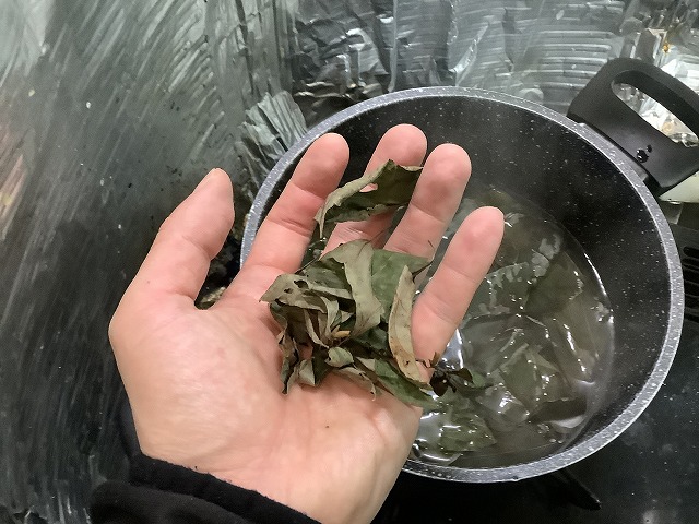 クロモジの葉のお茶