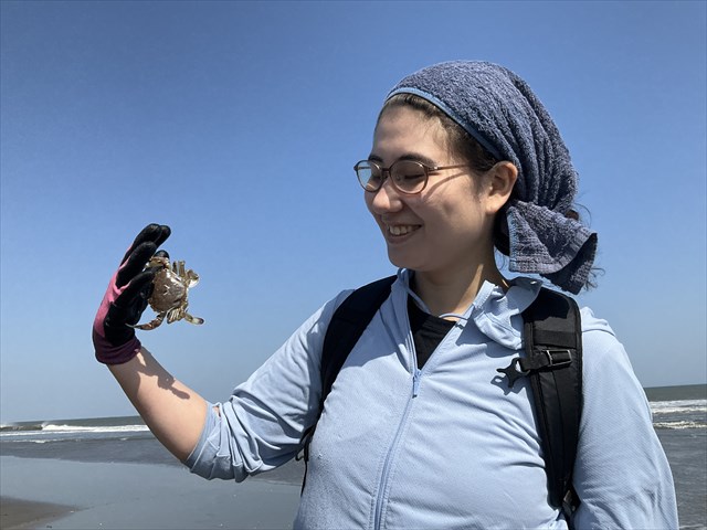 ヒラツメガニと海