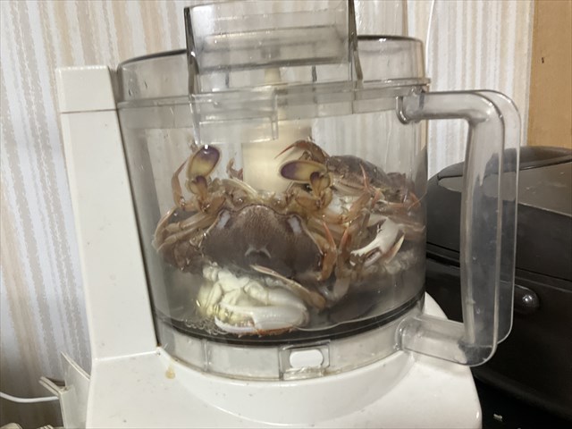 フープロ in カニ