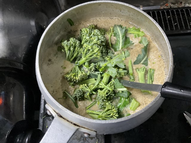 カニエキスに菜をin