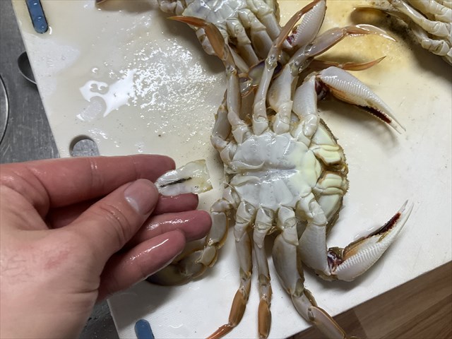 ヒラツメガニのふんどし