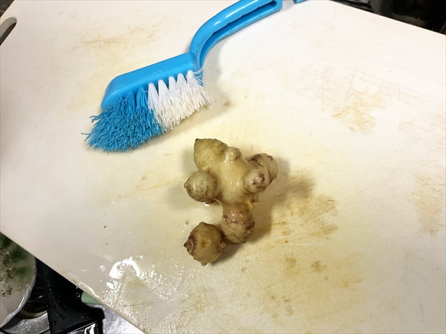 キクイモを洗う