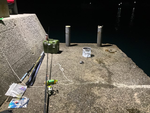 ハモを釣った堤防