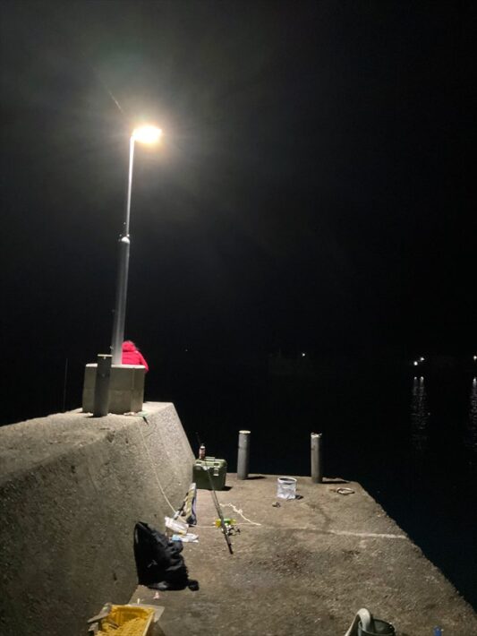 ハモを釣った堤防