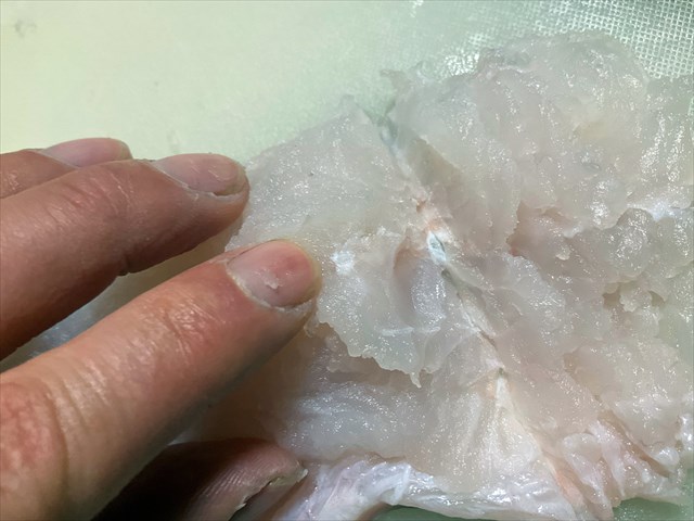 骨切りしたハモ