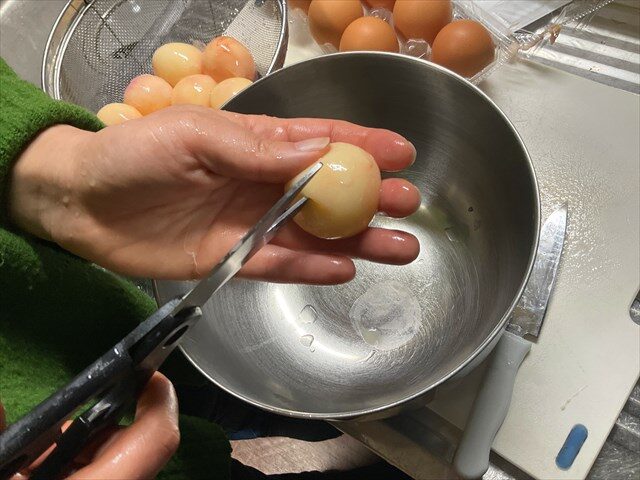 サメの卵をさばく