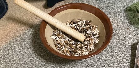 オニグルミをする