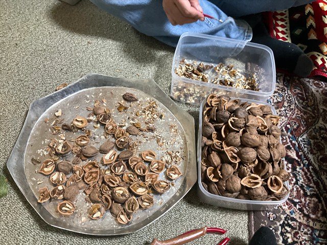 オニグルミをむく