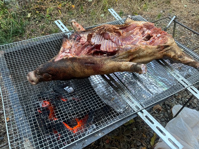 イノシシの丸焼きを作る