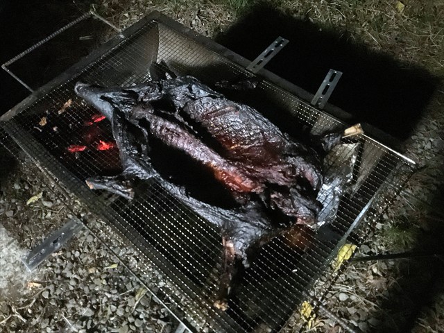 イノシシを丸焼きにする