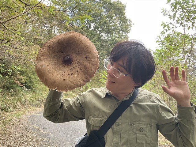 カラカサタケと私