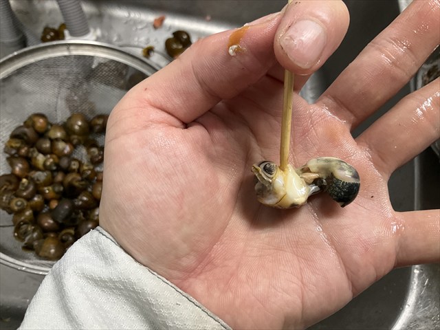 ジャンボタニシをむく