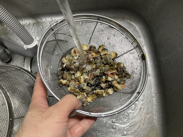 ジャンボタニシをむく