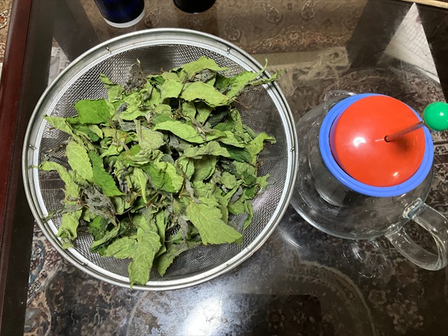 クワの葉茶を淹れる