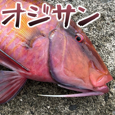 Thumbnail of post image 086