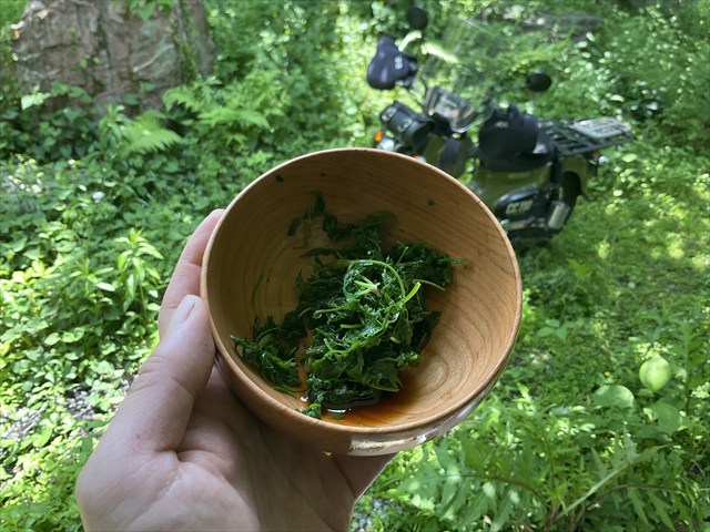 シャクのおひたし