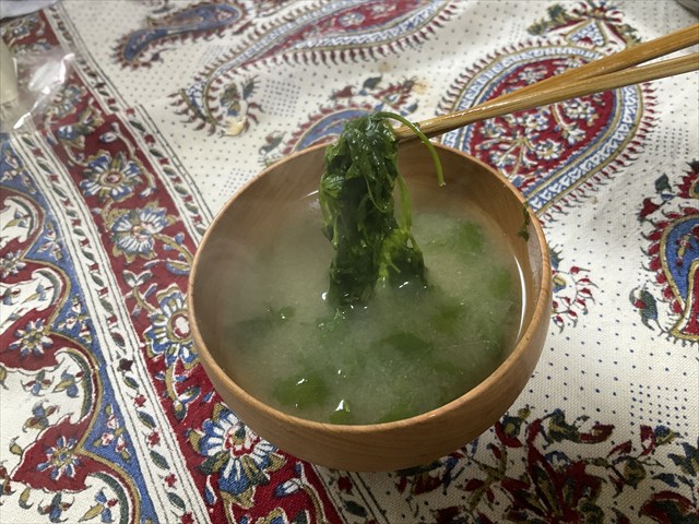 シャクの味噌汁