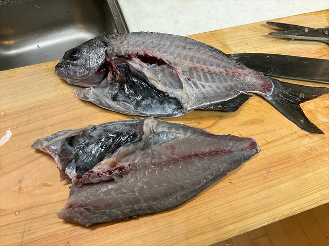 イスズミ、三枚おろし