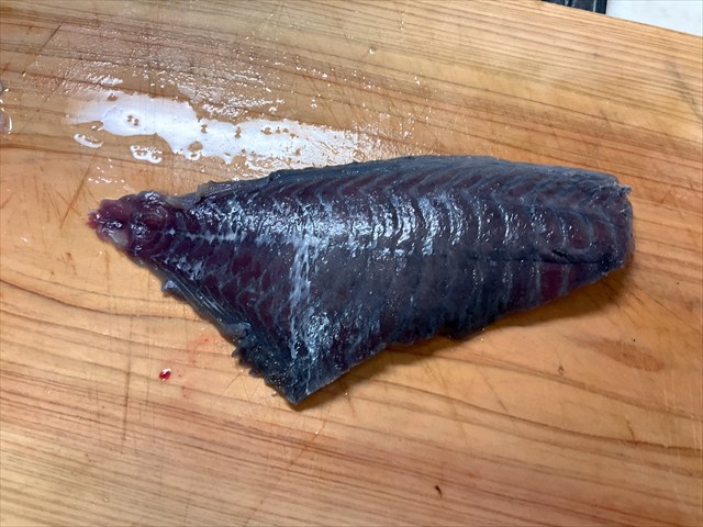 イスズミの背中の身