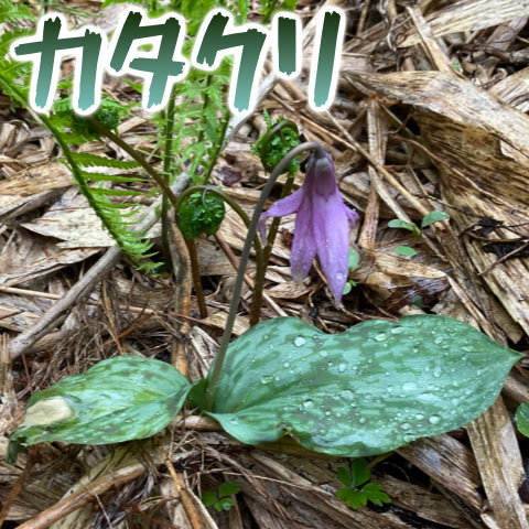 Thumbnail of post image 157