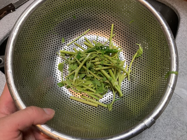 トリアシショウマのおひたし