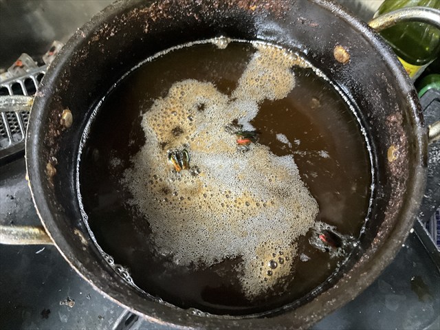 フェモラータオオモモブトハムシを揚げる