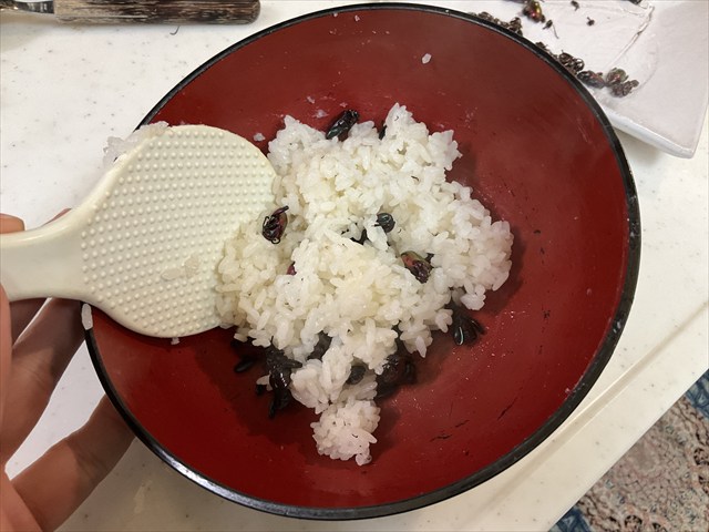 フェモラータオオモモブトハムシをご飯にまぜる