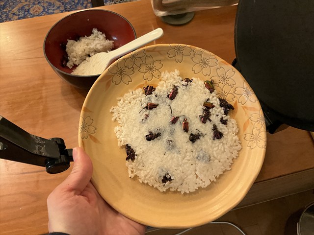 フェモラータオオモモブトハムシの料理