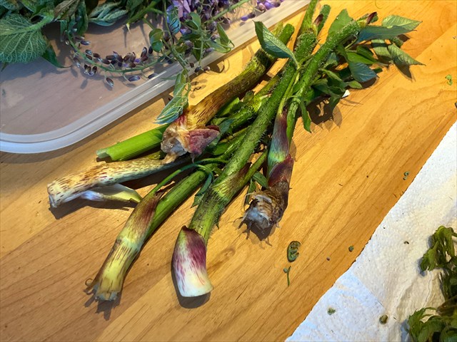 ウドを料理する