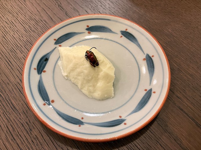 フェモラータオオモモブトハムシの杏仁豆腐