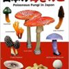日本の毒きのこ (フィールドベスト図鑑) | 長沢 栄史, 長沢 栄史 |本 | 通販 | Amazon